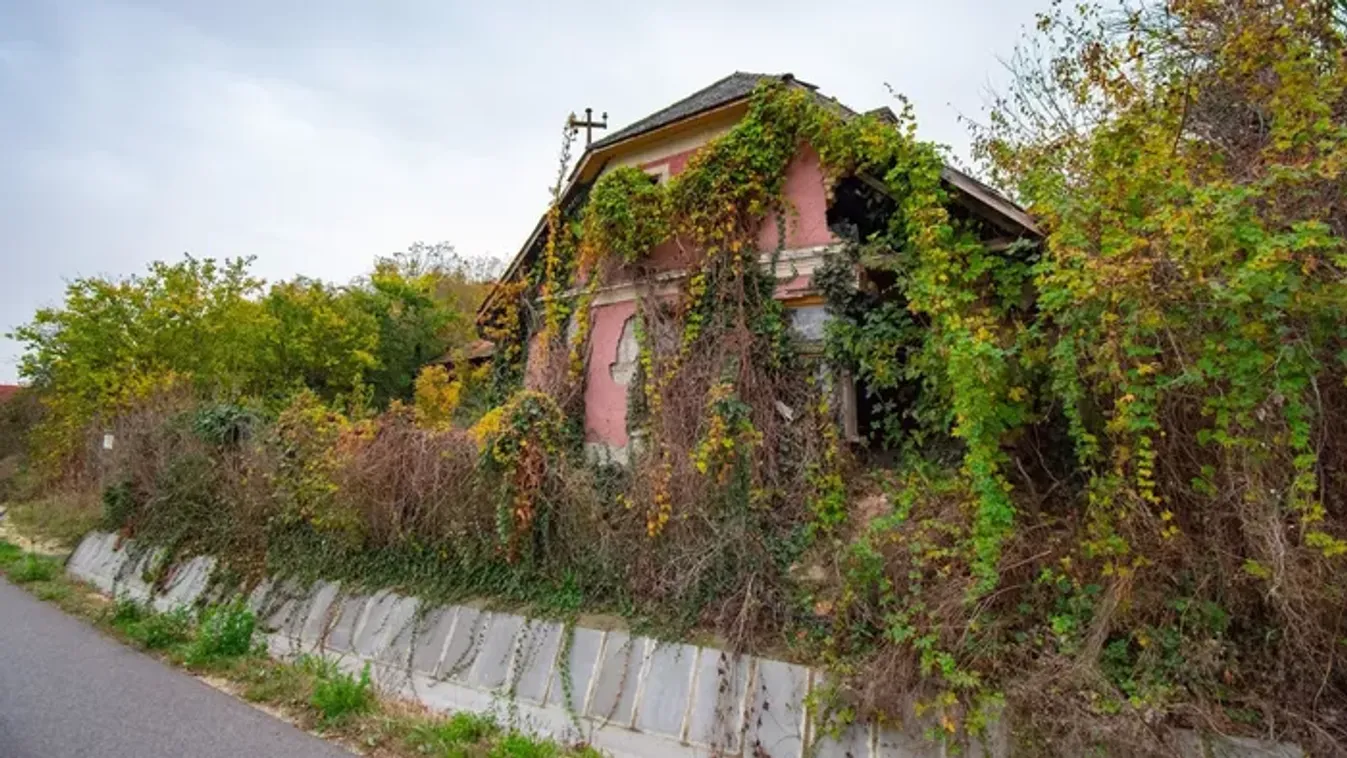 Mindent hátrahagyva tűntek el a dédszülők – Galéria