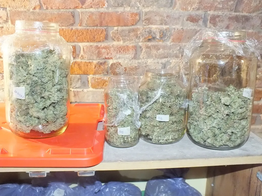 Nem kímélték a rendőrök a drogdíler testvérpárt: mire észbe kaptak már kattant a bilincs a kezükön. Fotó: police.hu