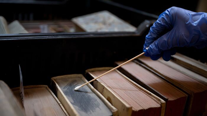 Pannonhalmi rovarinvázió: így tisztul meg a főkönyvtár