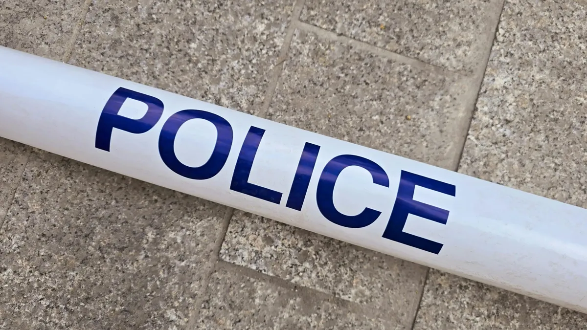 alt=Rob Reiner fia, Nick megadta magát a los angeles-i rendőröknek 