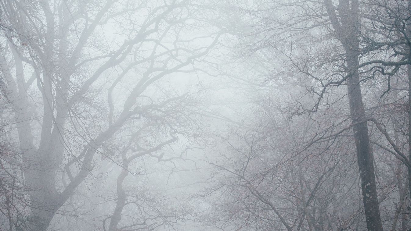 Felhős és ködös lesz az időjárás, a héten elbúcsúzik tőlünk a napsütés