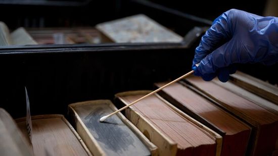 Pannonhalmi rovarinvázió: így szabadítják meg a kincset érő könyveket a kártevőtől – Képgaléria