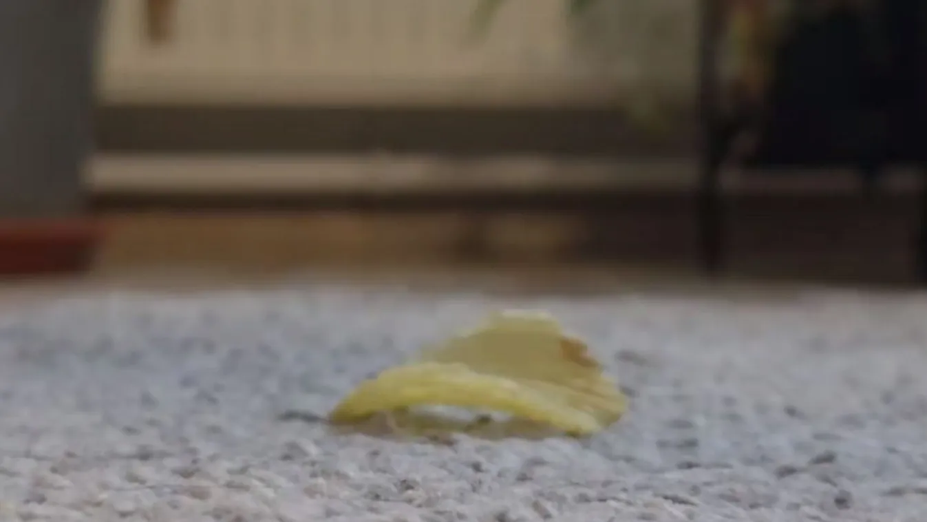 Mit ér, ha megfújjuk a leesett ételt?