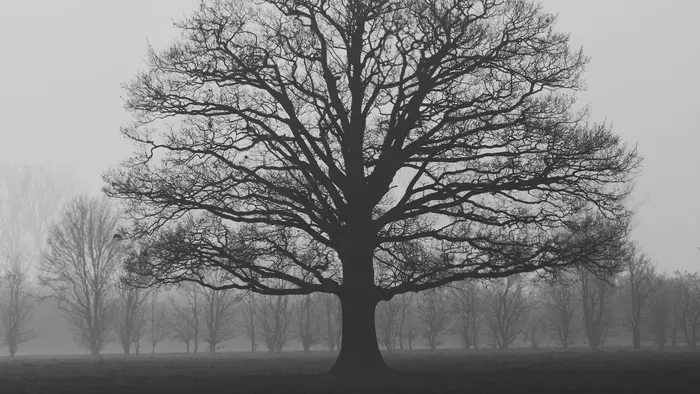 Erre az öt vármegyére adtak ki riasztást