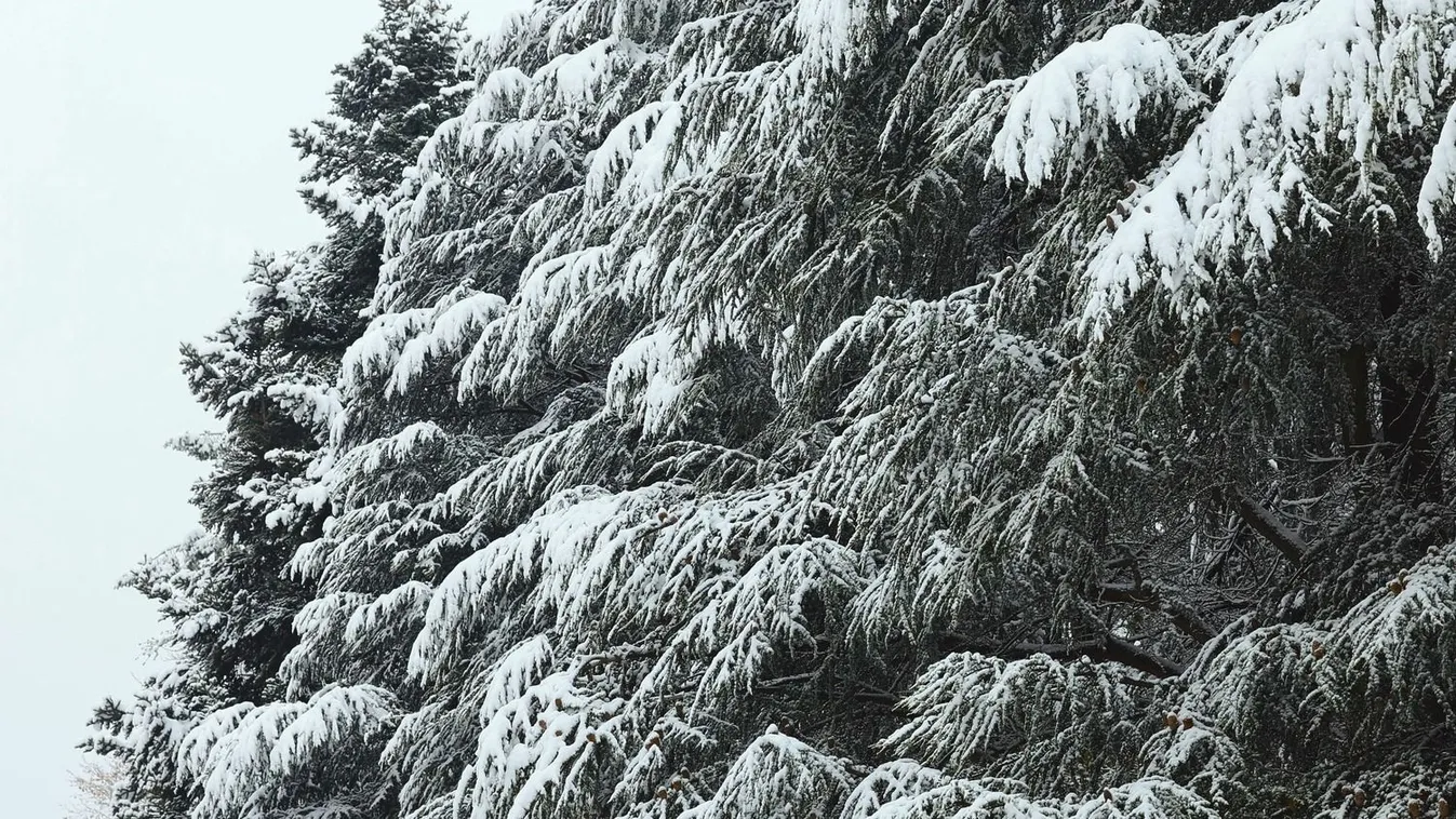 csak a legszükségesebb esetben induljanak útnak