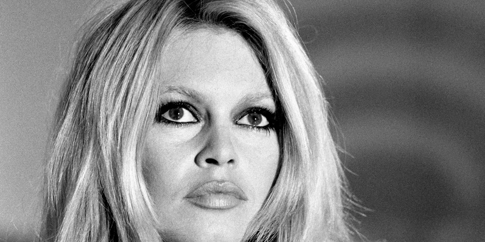 Brigitte Bardot-t eszméletlen szavakkal illették