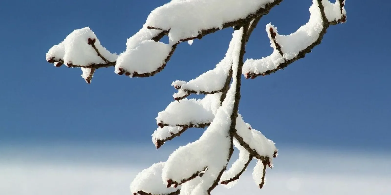 Fehér lehet a szilveszter és az újév napja