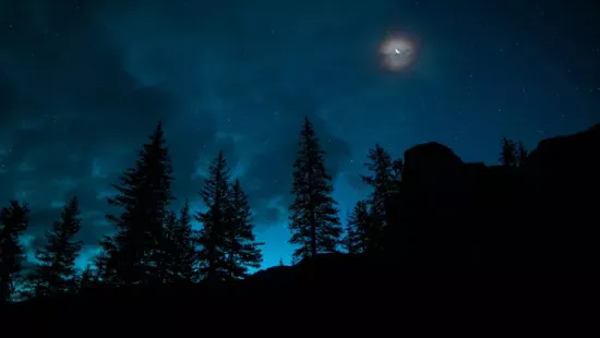 Kétéves kislányt találtak mezítláb az erdőben, majd a rendőrség szörnyű dolgot fedezett fel