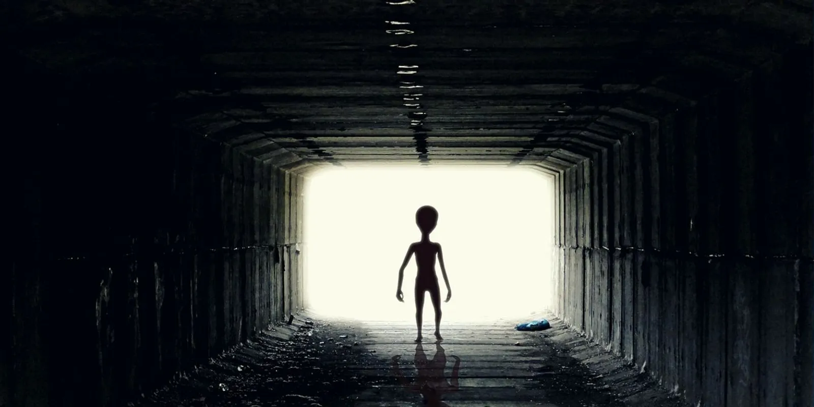 Így fognak kapcsolatba lépni velünk a földönkívüliek