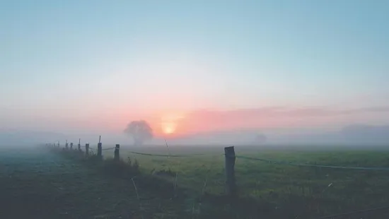 Nem kímél minket az időjárás: ködös, párás napokra kell számítani