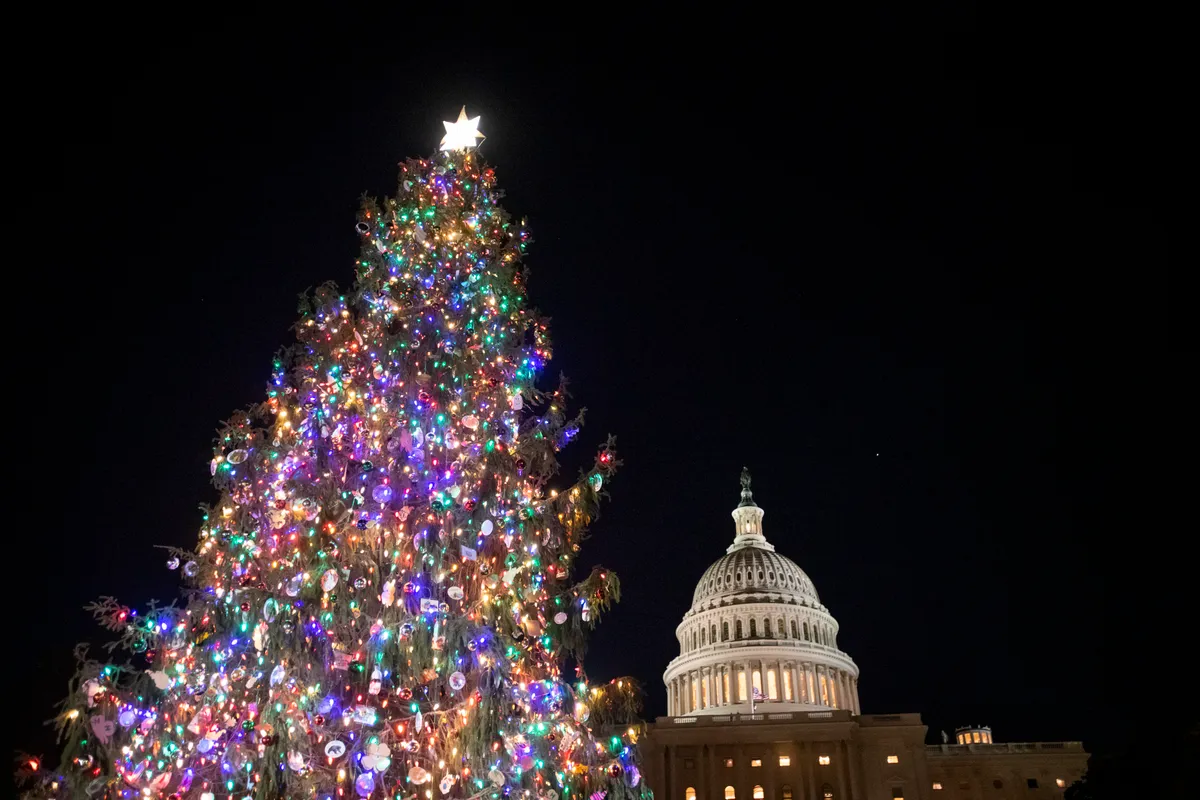 US Capitol Tree Lighting Ceremony