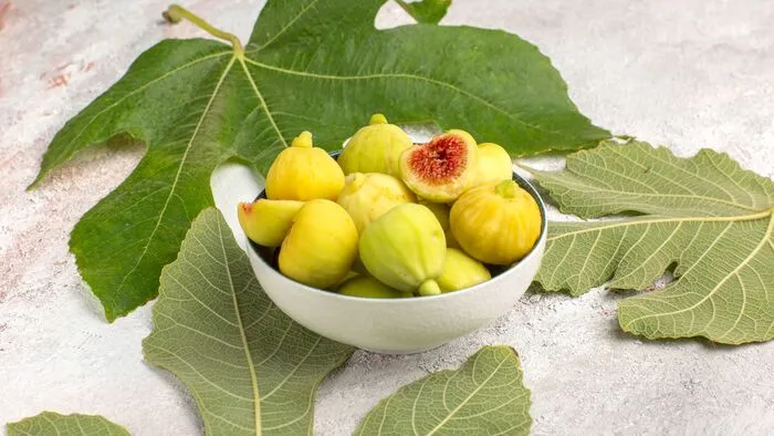 Fügefalevél: ne dobd ki, inkább gyógyíts vele