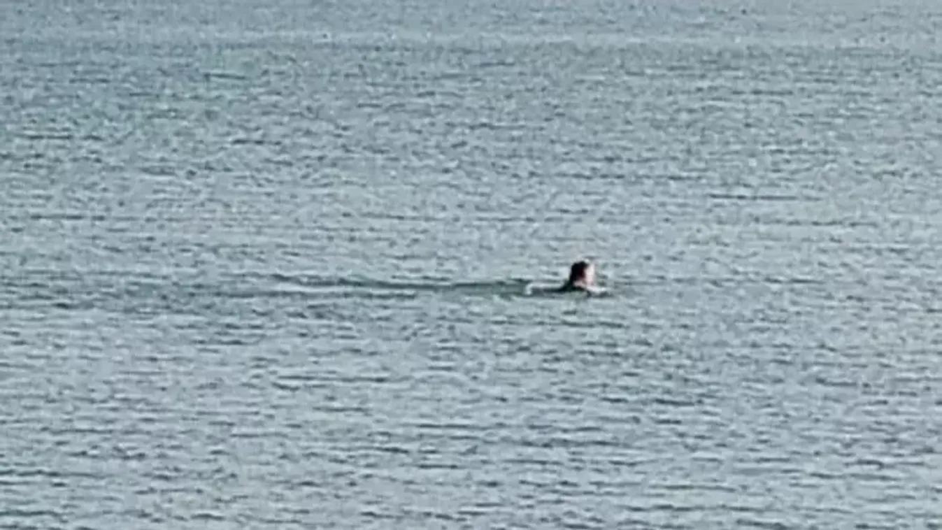 Balatonban csobbant, most róla beszél fél Zamárdi