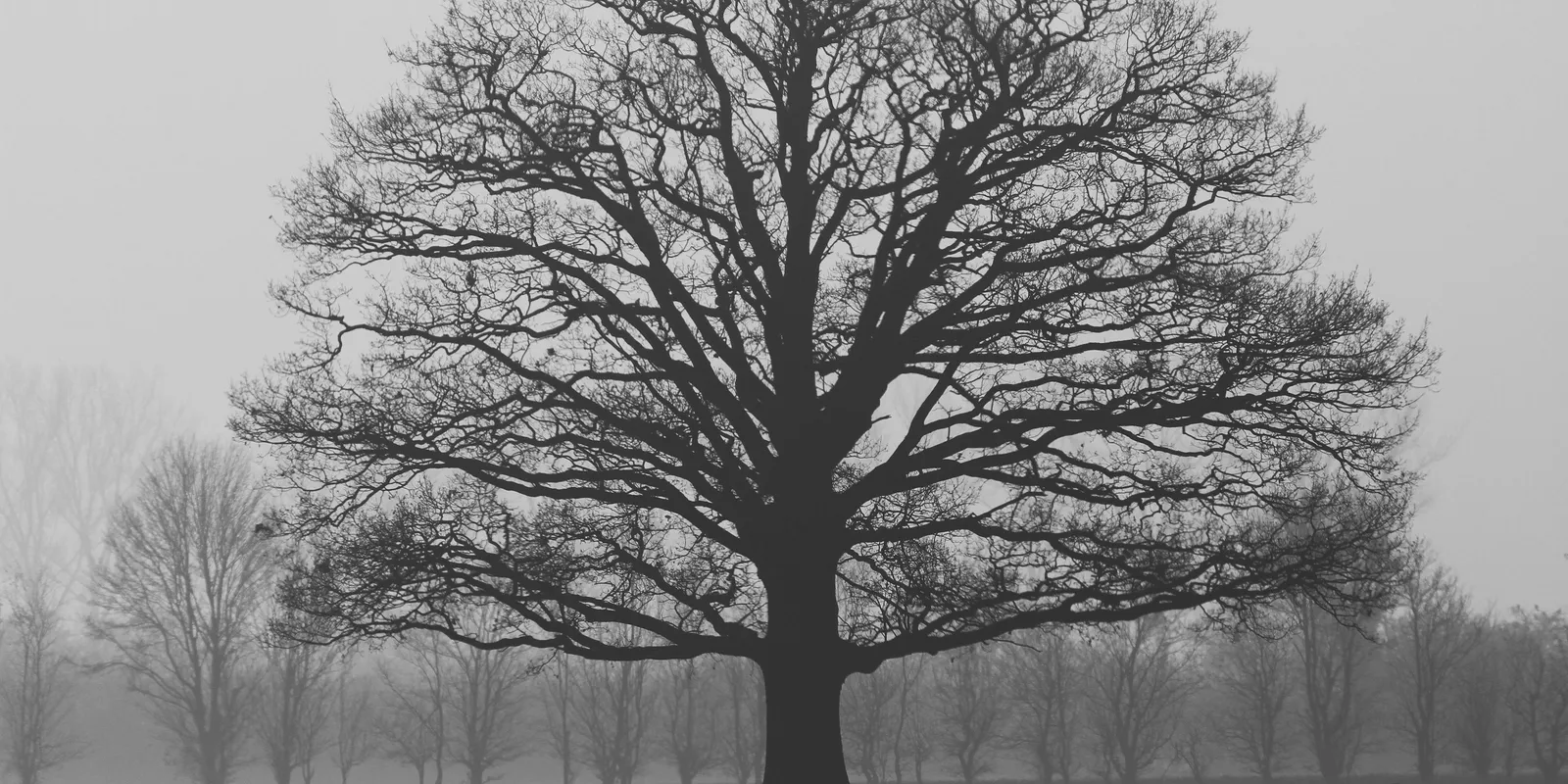 Erre az öt vármegyére adtak ki riasztást