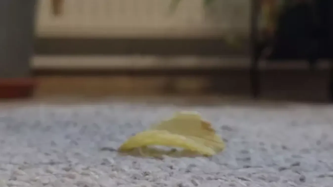 Mit ér, ha megfújjuk a leesett ételt? - Mutatjuk!