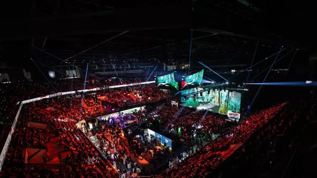 Lázárinfo élőben