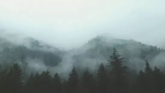 Erre számíts: Köd és szürkeség uralja továbbra is az időjárást