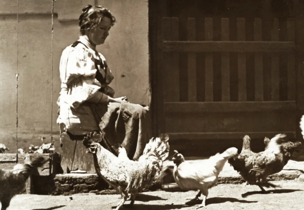 Borbála-nap a mútban tele volt hiedelmekkel. A tyúkok nem voltak biztonságban