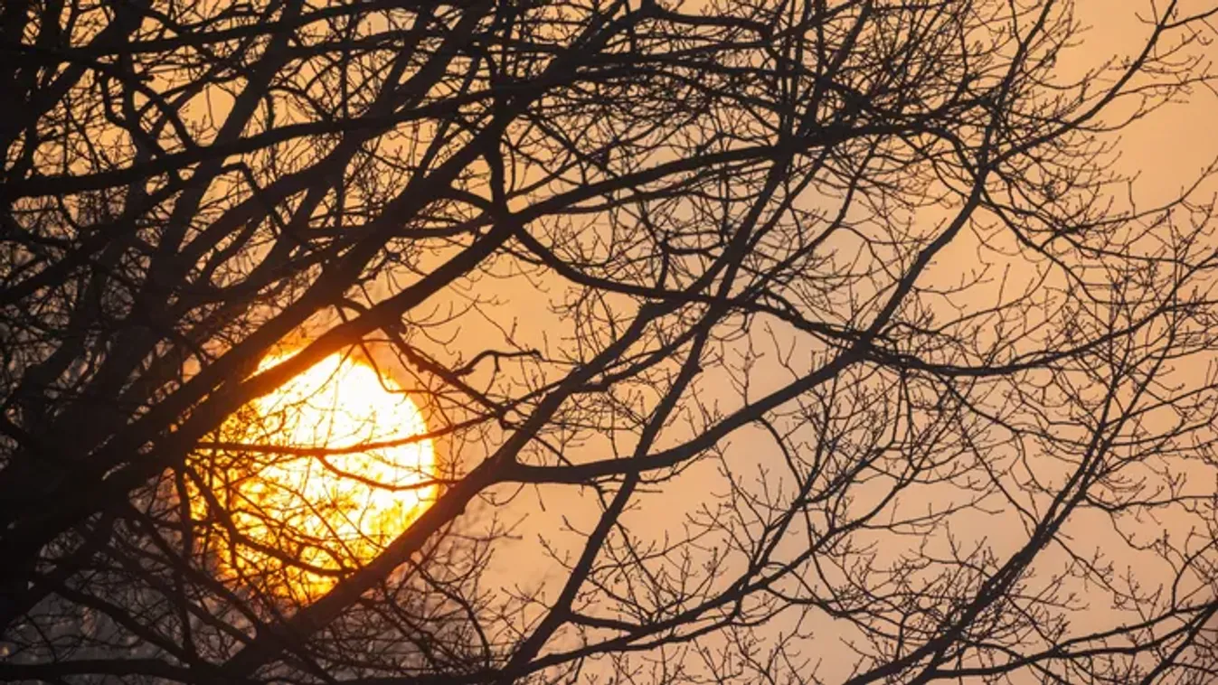 Ma van Disznóölő Tamás napja, de mit is jelent ez?