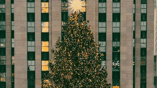 Ennyiért lehet idén karácsonyfát venni – hamarosan nyitnak a fenyővásárok!