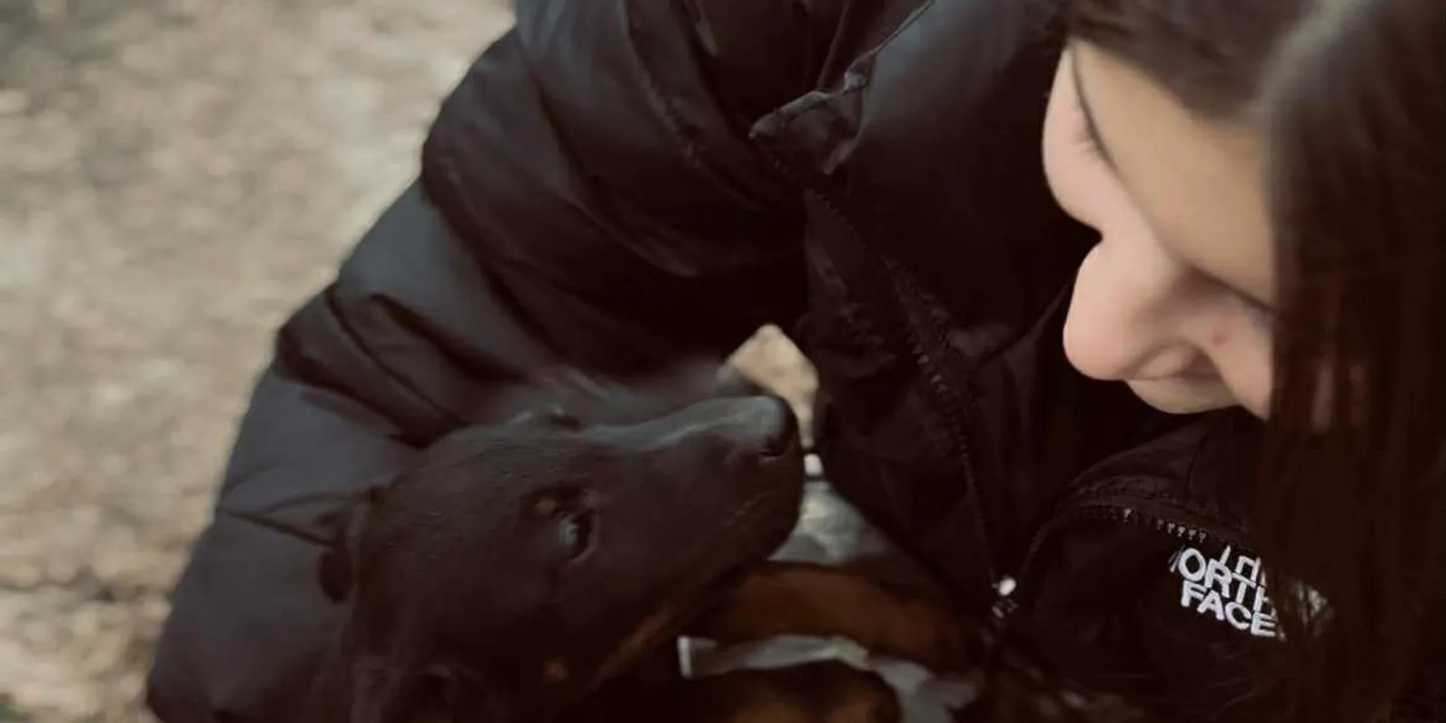 Árván maradt kutyák karácsonyát teszi szebbé a 15 éves lány