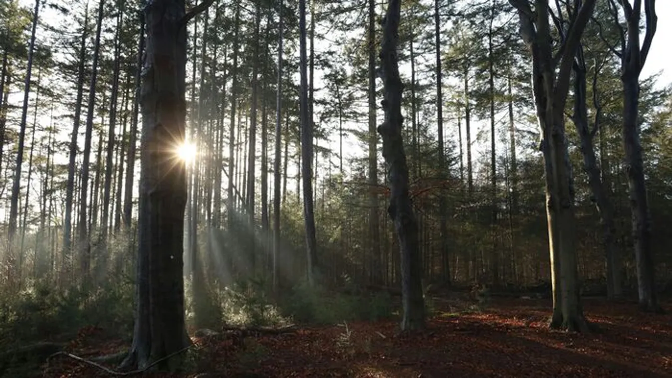 Nem mindenki örülhet a tavaszias időjárásnak