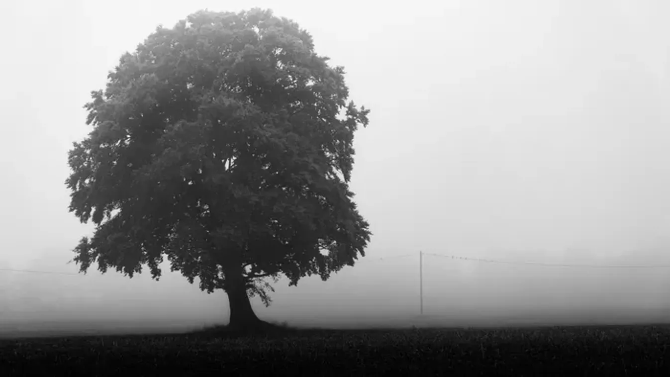 Ködbe burkolózik a hétvége - marad a makacs szürkeség az ország felett