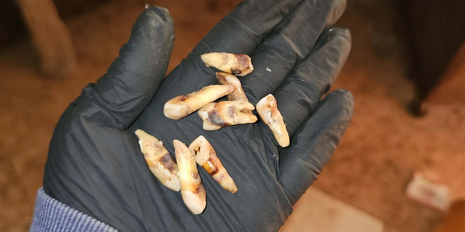 Skizofrén férfit segít Barbara: furcsa nyomokat talált nála