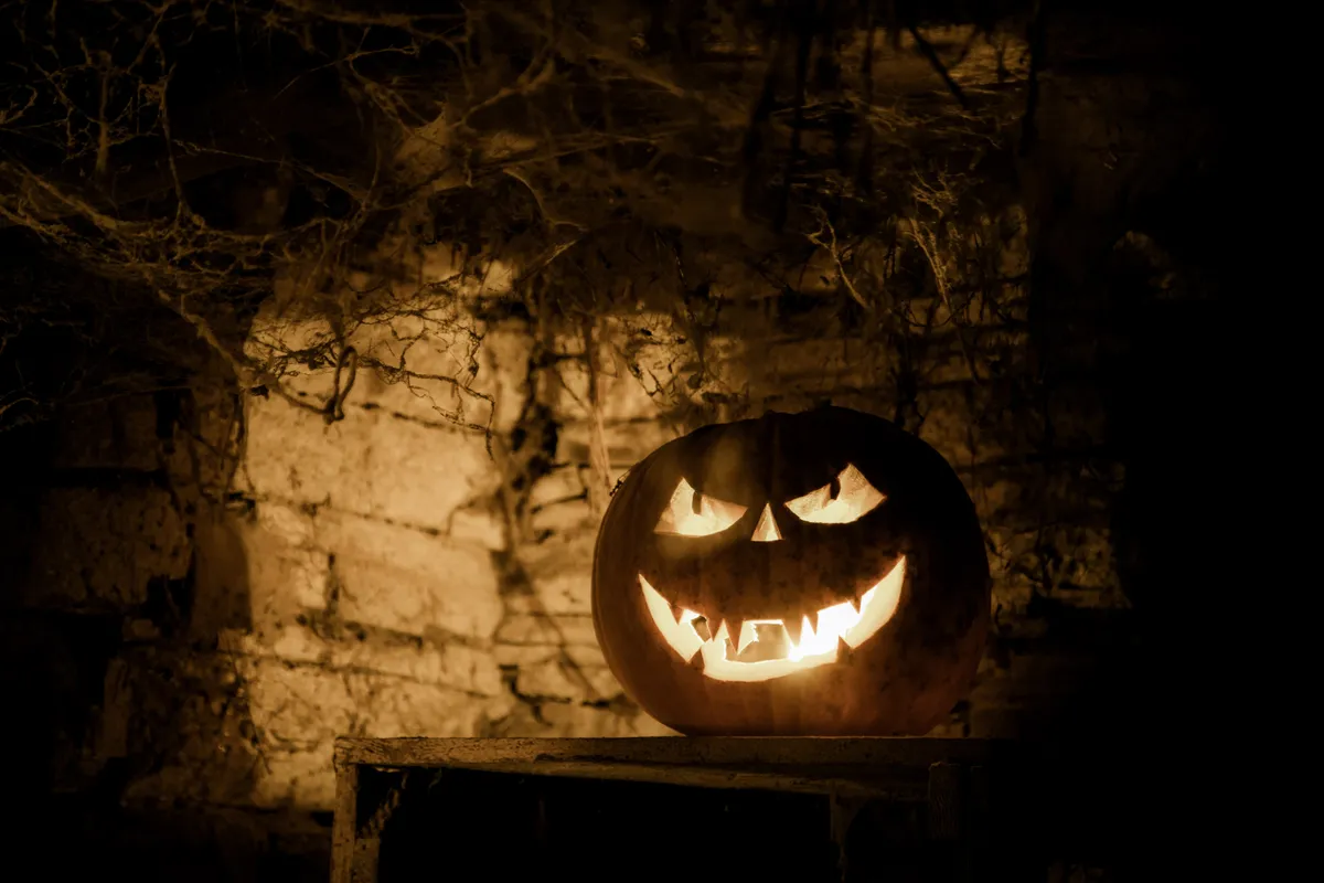 Vicsorgó töklámpás. Luca-nap éjjelén ez világított az ablakban, hogy elijessze a szellemeket