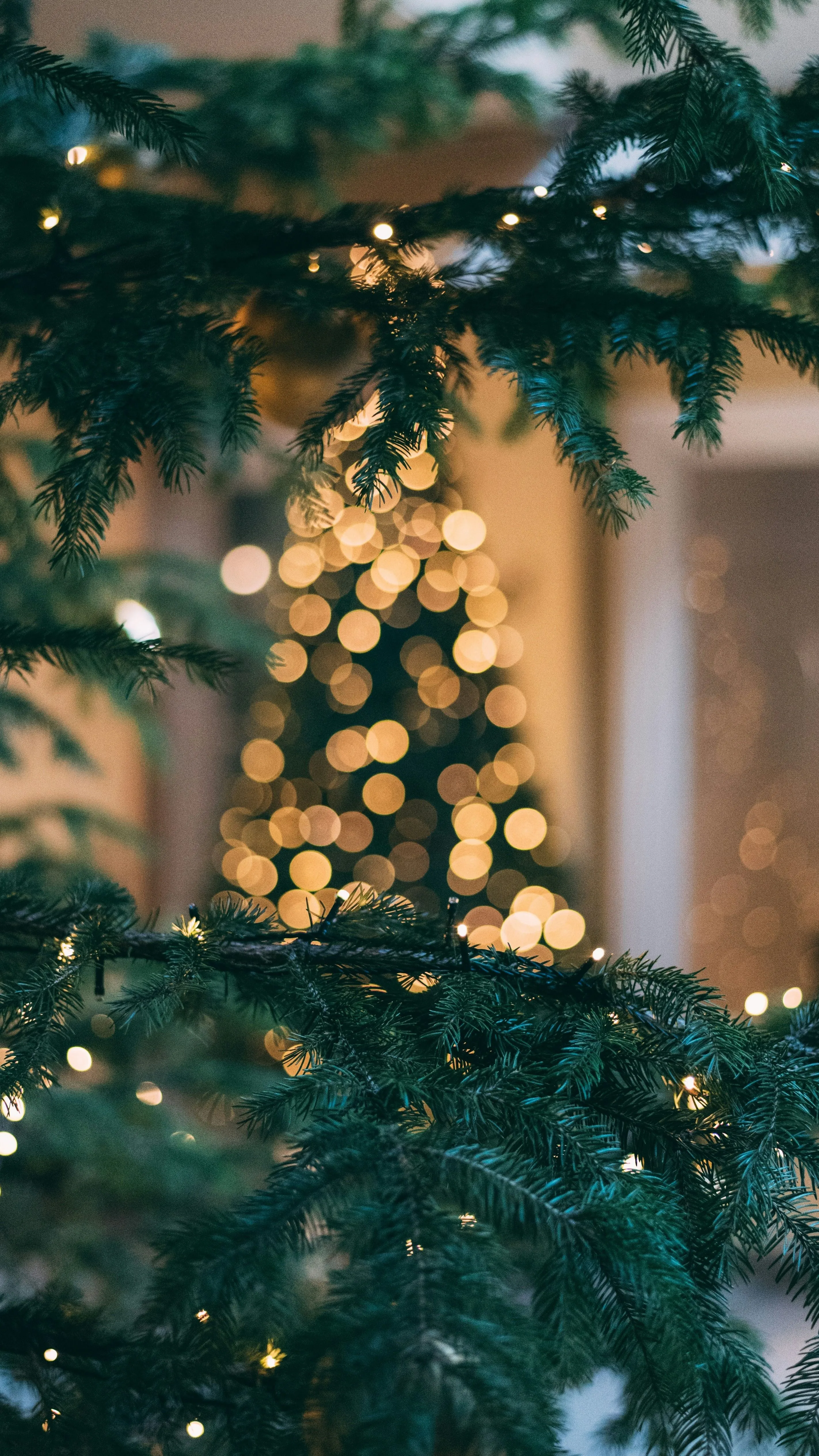 Mutatjuk a legextrémebb karácsonyfadíszeket