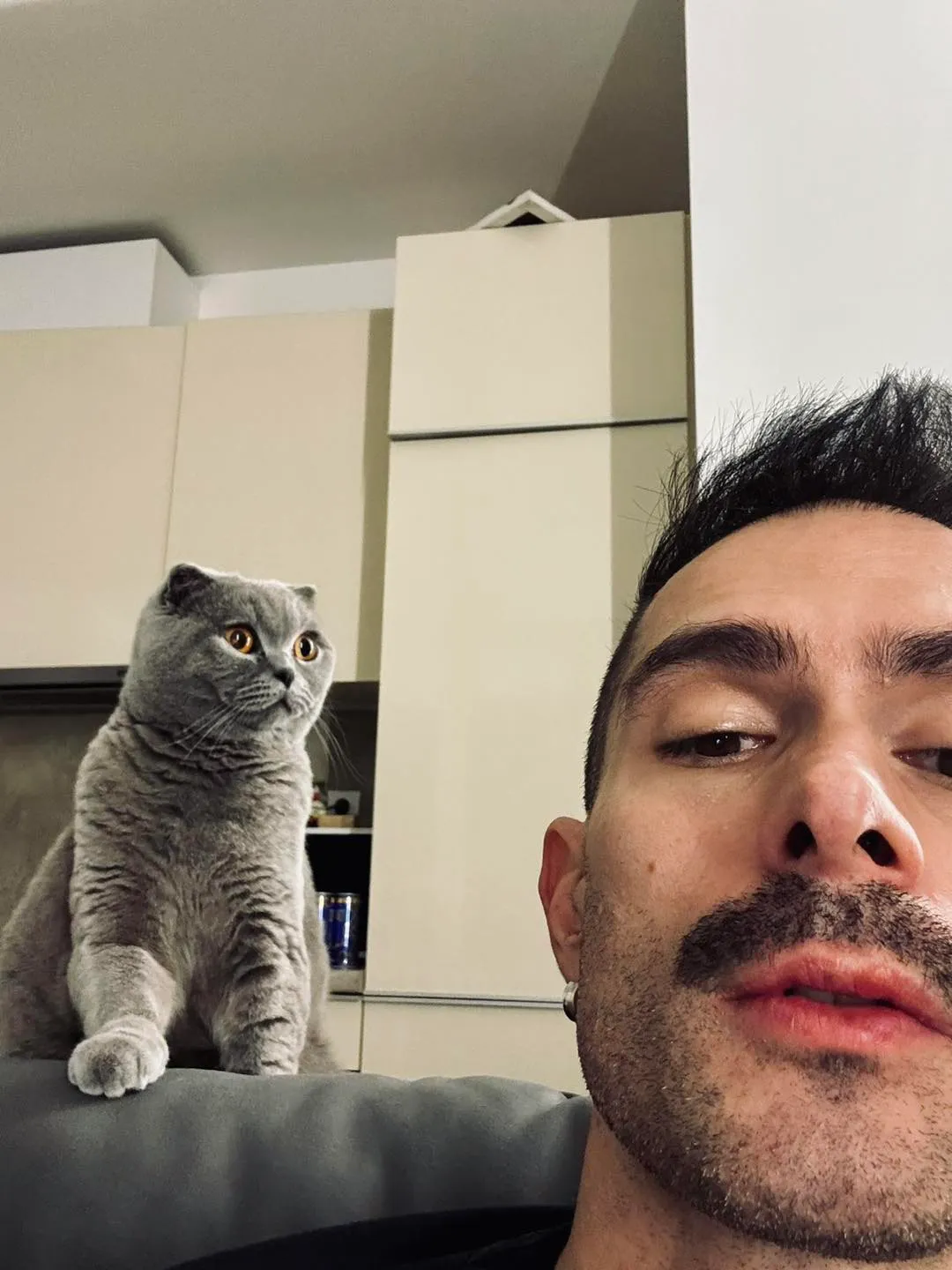 ByeAlex imádja a macskáját.