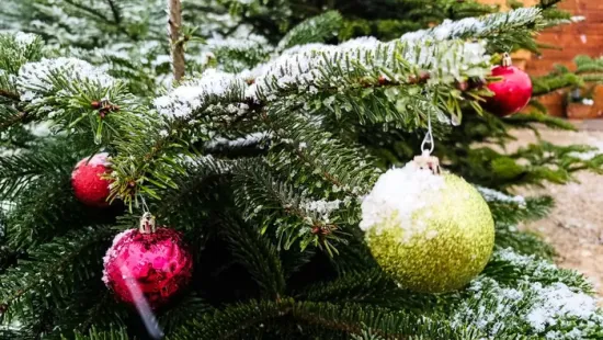 Megérkezett a fehér karácsony az ország egyes részeire - fotók és videók