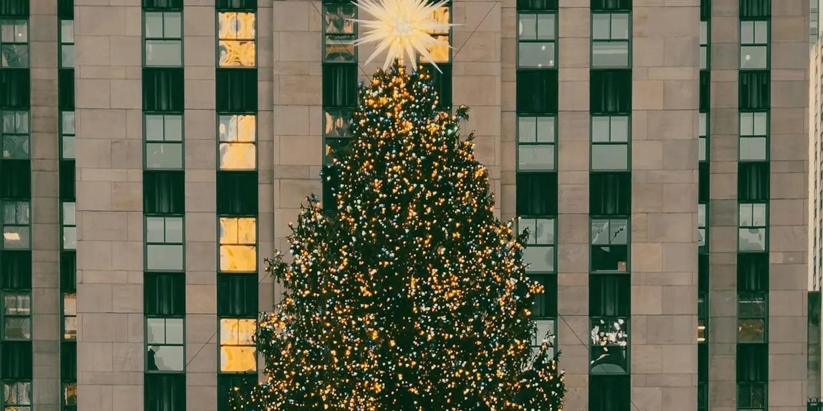 Ennyiért lehet idén karácsonyfát venni