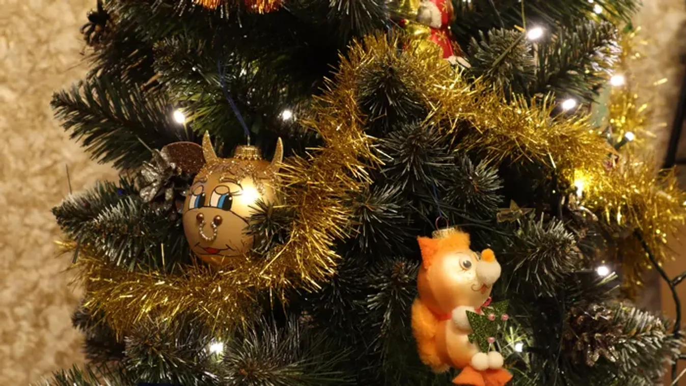 Teve rúgott meg egy nőt a karácsonyi ünnepi felvonuláson