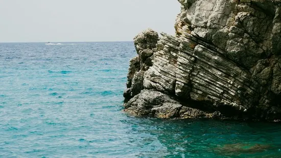 Egy turista szerencsés, hogy életben van, miután megfogta az apró polipot