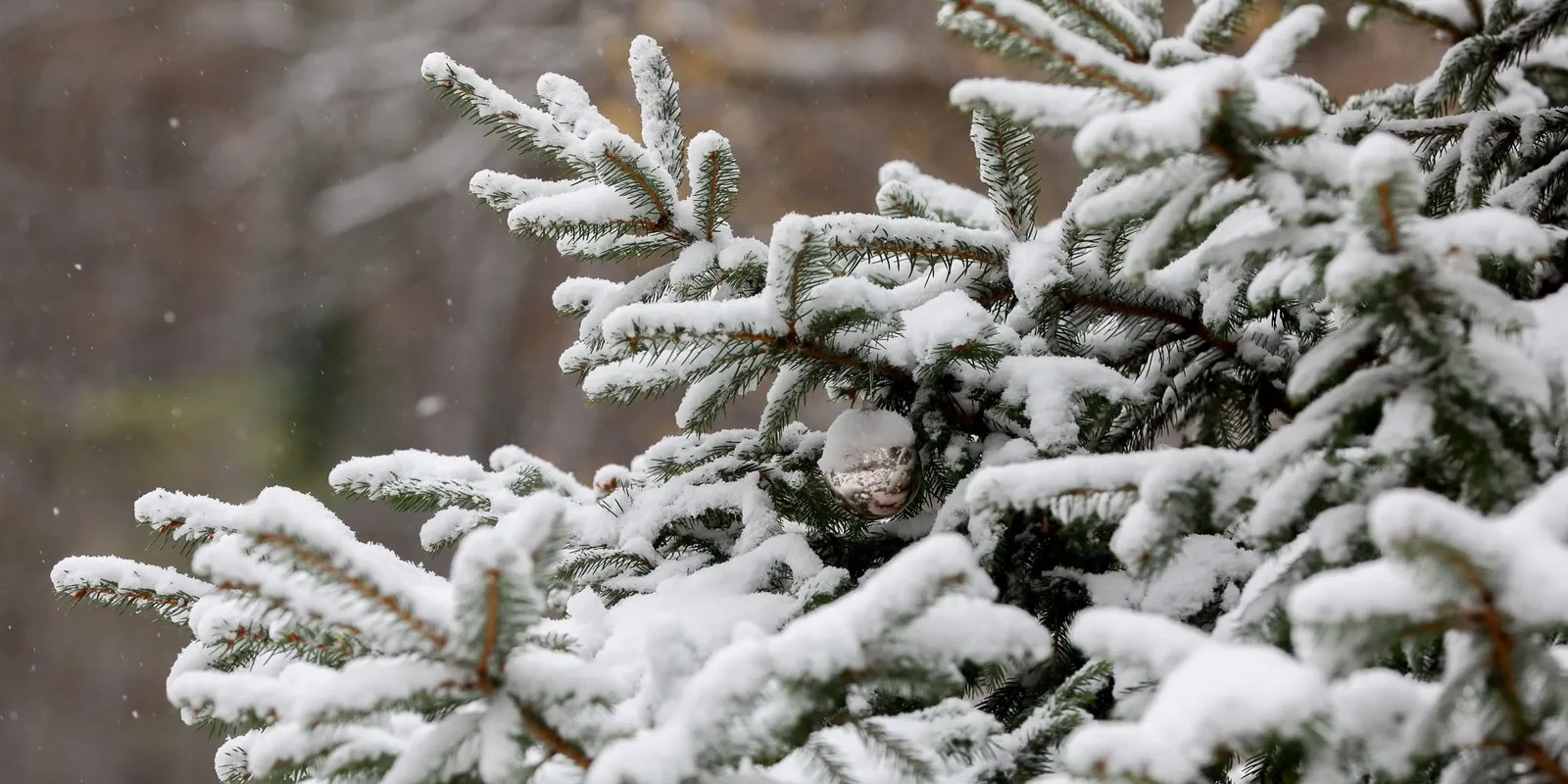 Karácsonyi időjárás: ezen a napon fog havazni
