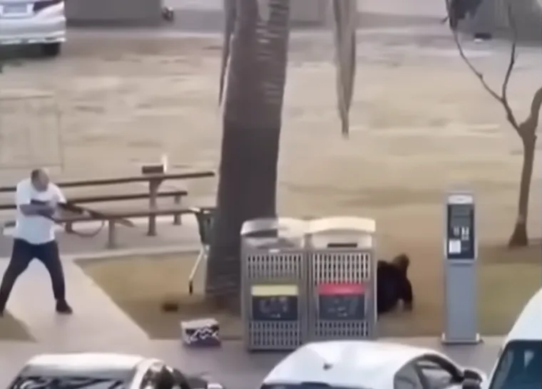 alt=A Bondi Beach-en történt brutális terrortámadás ellen egy férfi az életét kockáztatva teperte le a támadót