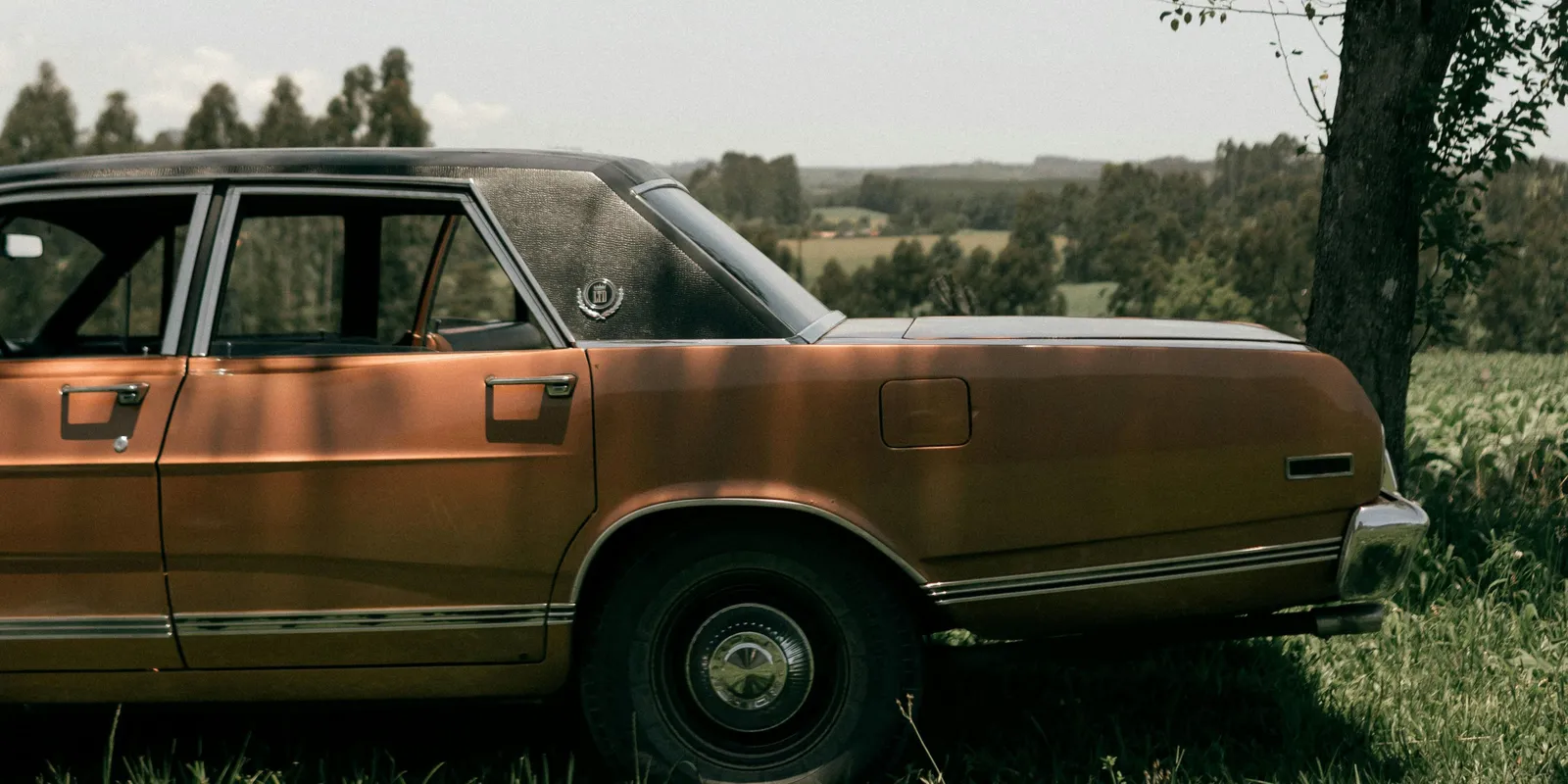 Nem hiszed el hol volt a lány 4 nappal eltűnése után