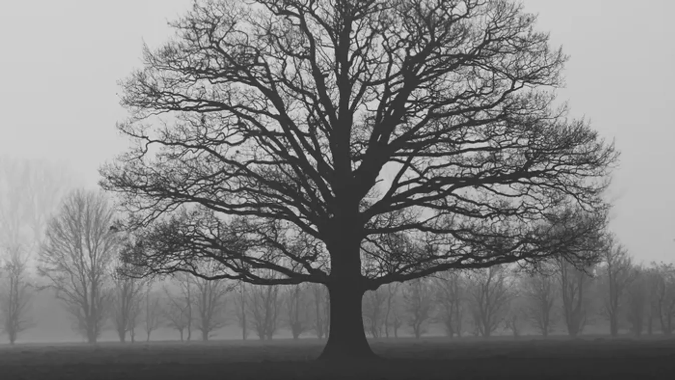 Erre az öt vármegyére adtak ki riasztást