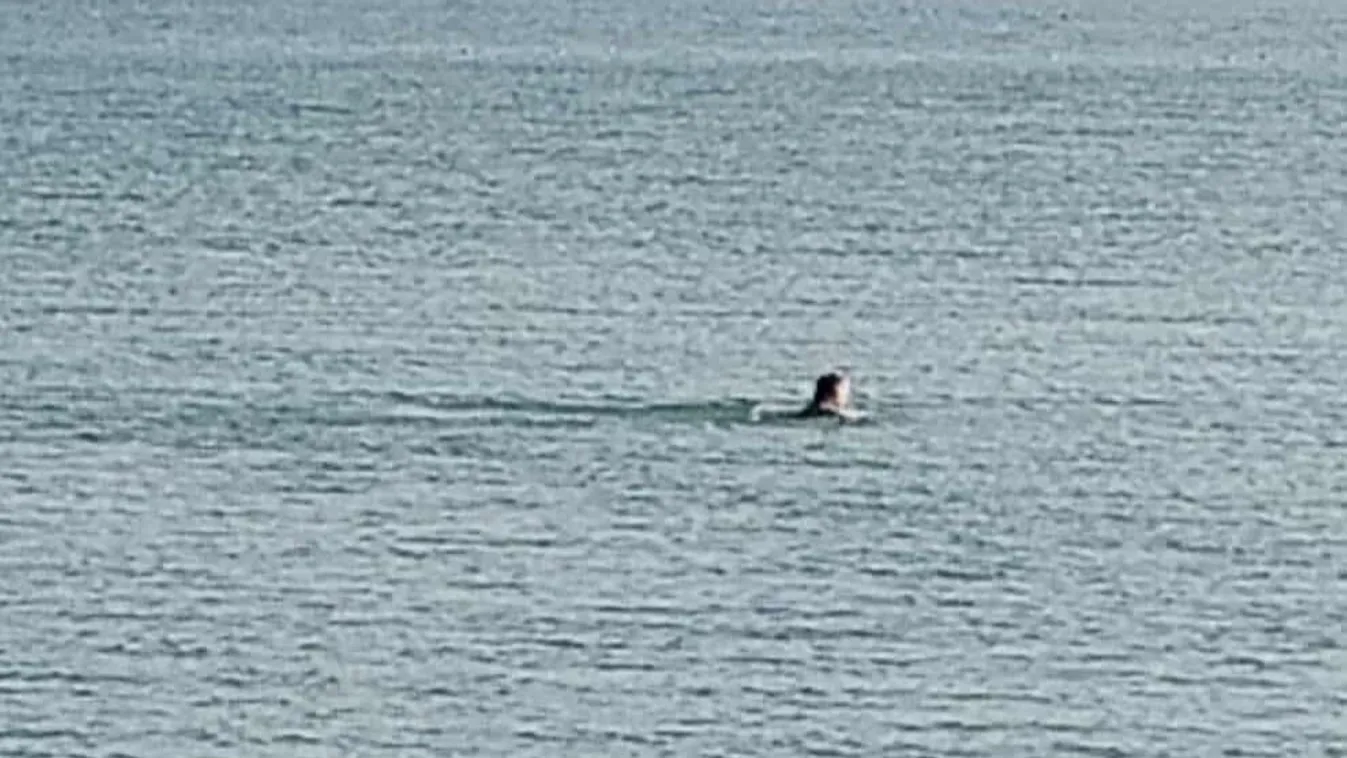 Balaton télen – Mindenki erről a férfiról beszél