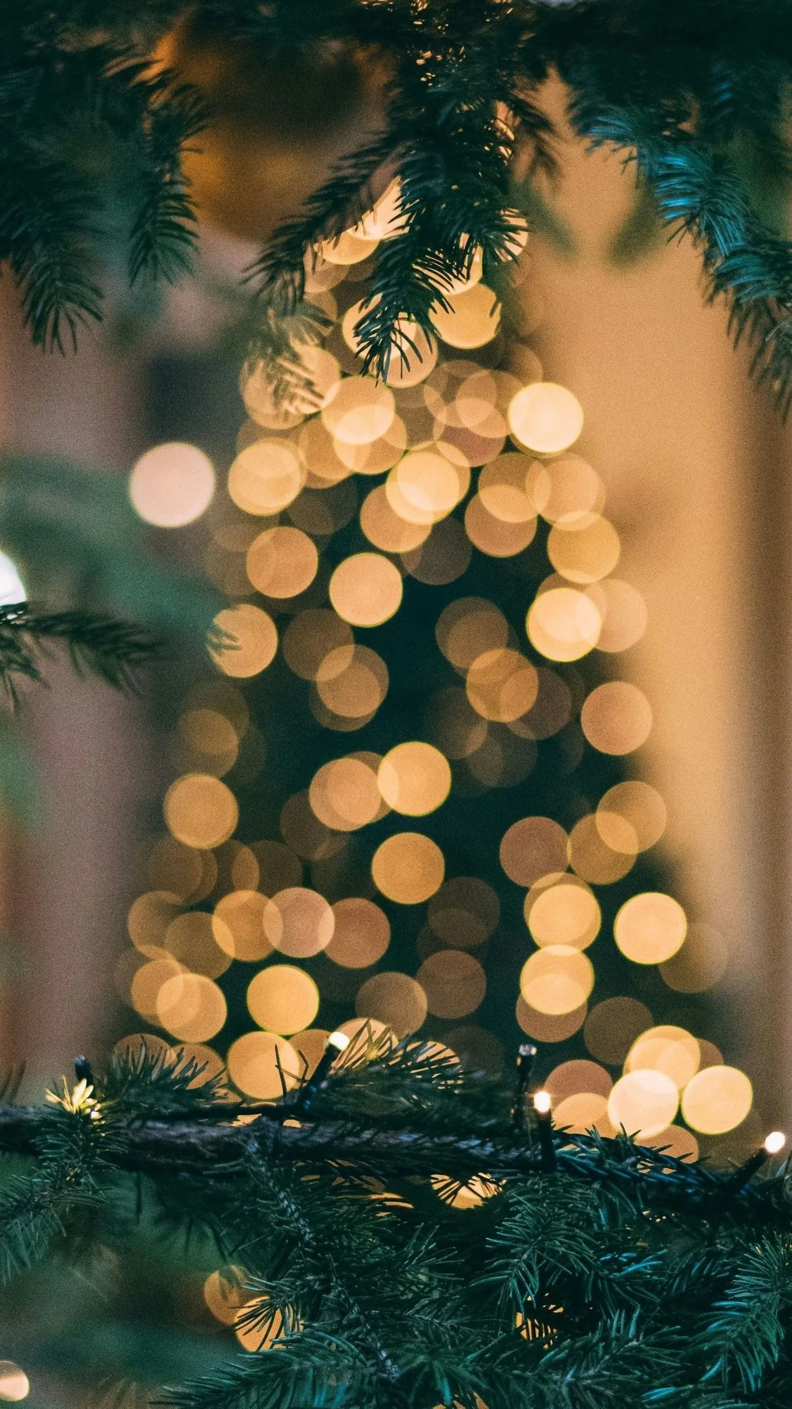 Ötmilliárd forintba került a világ legdrágább karácsonyfája