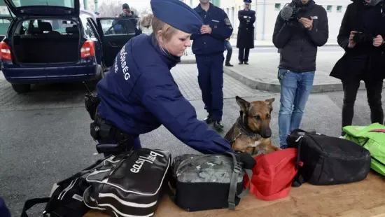 Így dolgoznak a drogkereső kutyák a határon, meglepő bemutatót tartottak Röszkén