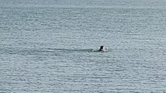 Mintha csak nyár lenne: a Balatonban karácsonyozott a férfi, fél Zamárdi róla beszél