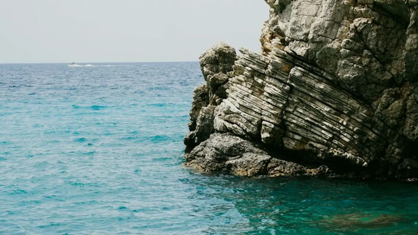 Egy turista szerencsés, hogy életben van, miután megfogta az apró polipot