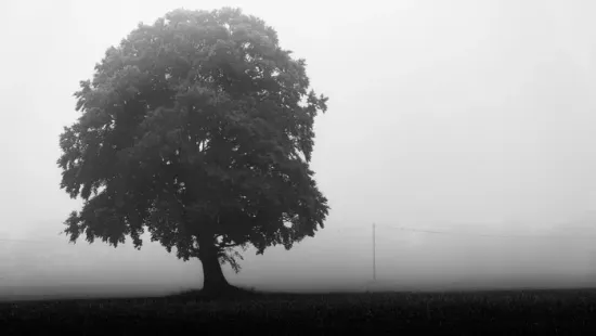 Ködbe burkolózik a hétvége - marad a makacs szürkeség az ország felett