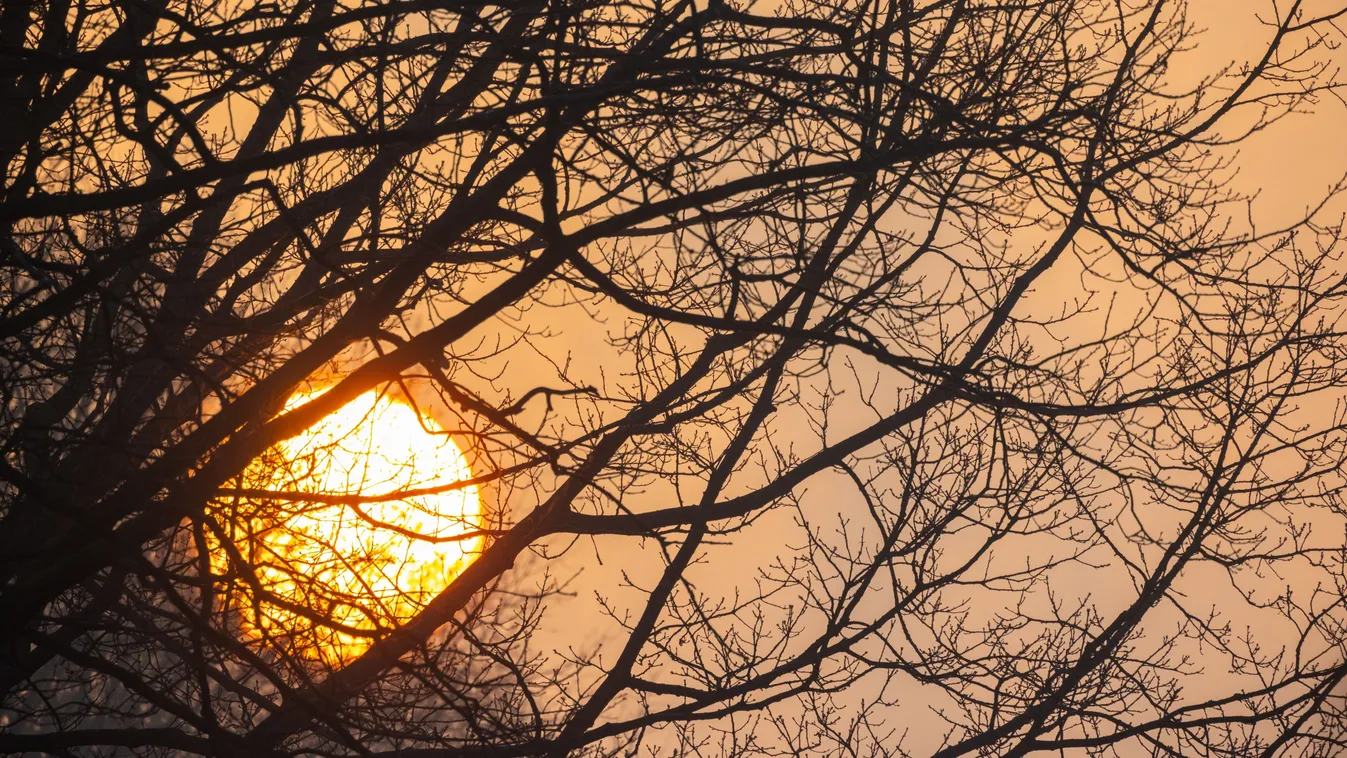 Ma van Disznóölő Tamás napja, de mit is jelent ez?