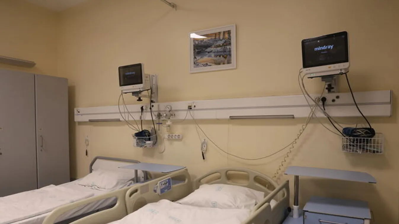 Agresszív és műthetetlen agydaganat bántja a kis Natasát