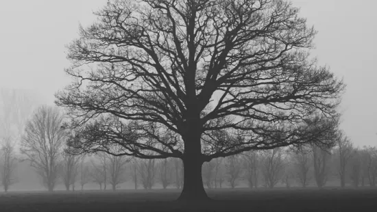 Erre az öt vármegyére adtak ki riasztást