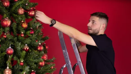 Valódi fenyőt vagy műfenyőt válasszunk? Mutatjuk az ökológus tanácsát!