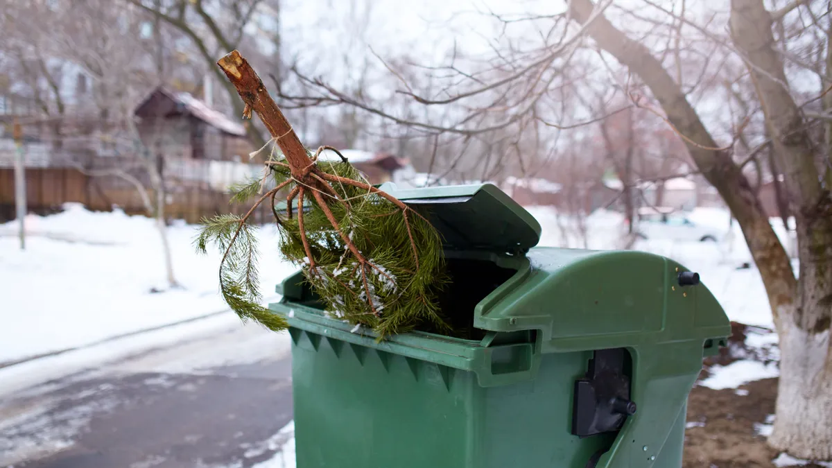 Mikor és hová lehet kitenni a fenyőfát, mikor szállítják el és mi lesz vele? Mutatjuk! Kép